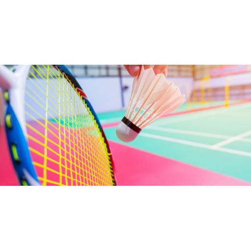 BADMINTON