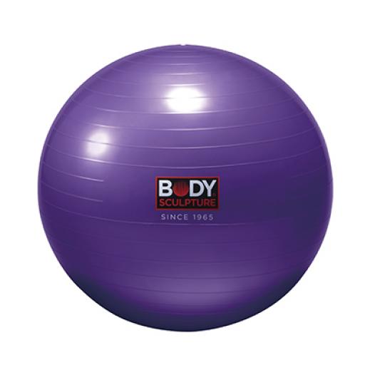 55CM GYM BALL