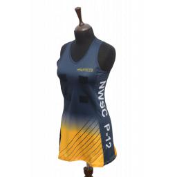 NETBALL DRESS 1.png