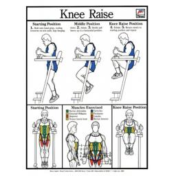 KNEE RAISES.jpg