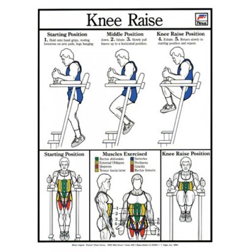 KNEE RAISES FITNESS CHART