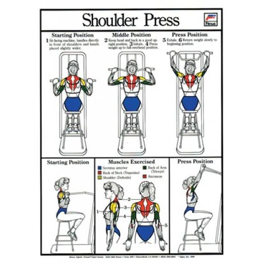 SHOULDER PRESS FITNESS CHART