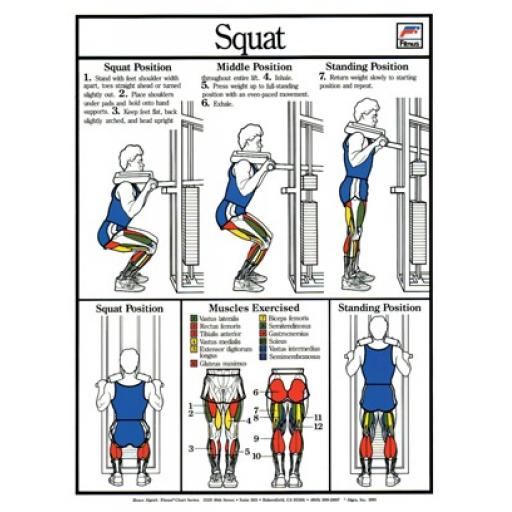 SQUAT FITNESS CHART