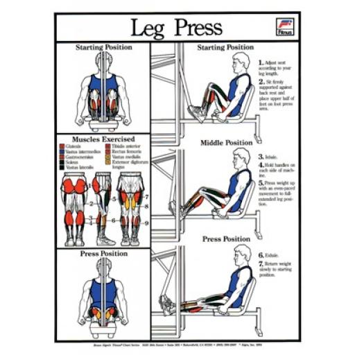 LESS PRESS FITNESS CHART