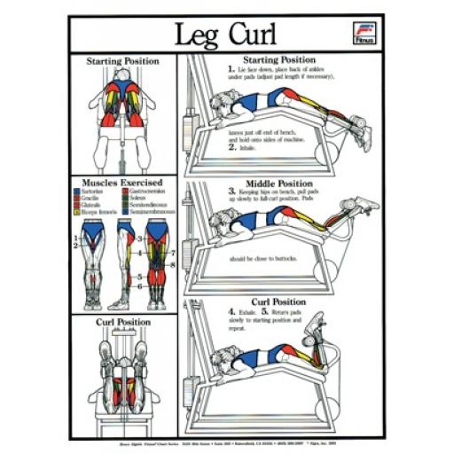 LESS CURL CHART