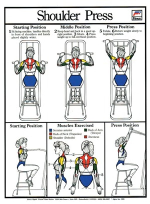 SHOULDER PRESS.jpg