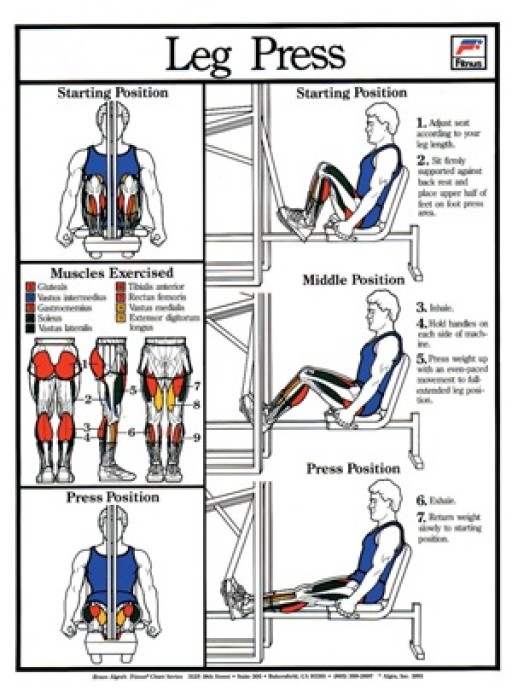 LEG PRESS.jpg