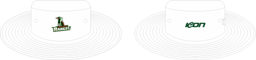 Hat 2.png