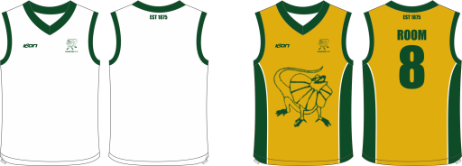 Longford cc Reversible Cricket Vest.png