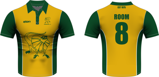 Longford cc 1 day playing shirt short sleeve.png