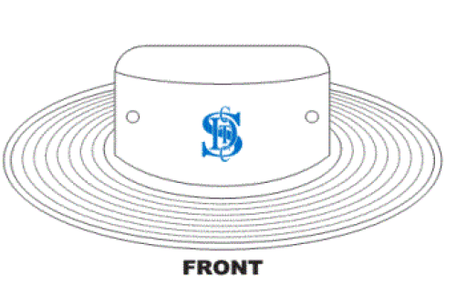 st davids cc floppy.gif