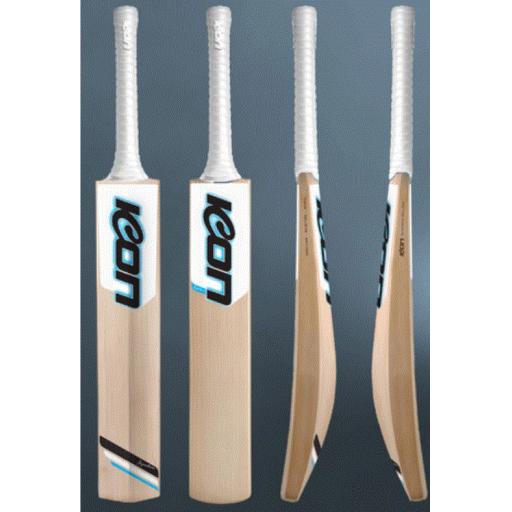 SIGNATURE PLAYERS CRICKET BAT