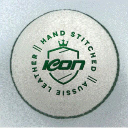 ICON TRAINING BALL