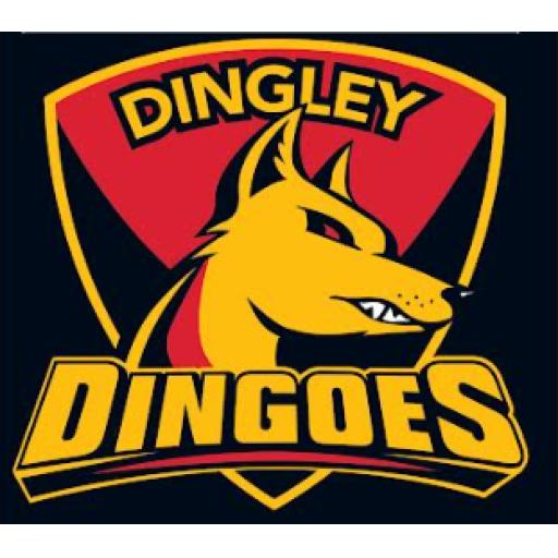 DINGLEY FOOTBALL  NETBALL CLUB