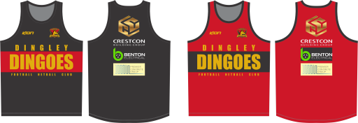 Dingley fnc Reversible Singlet.png