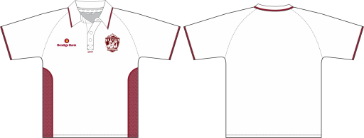 shirt (003).png