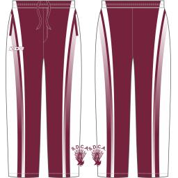 Cricket pant (1).png