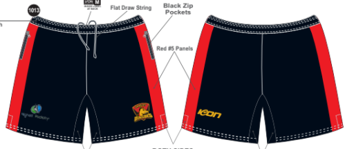 Dingley Jfc Training Shorts.png