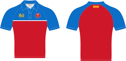 Polo shirt (1).png