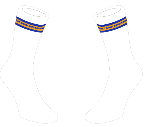 Socks.png