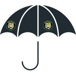 Umbrella.png