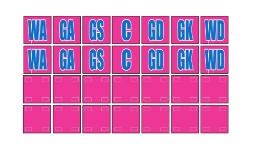 netball bib 2.png