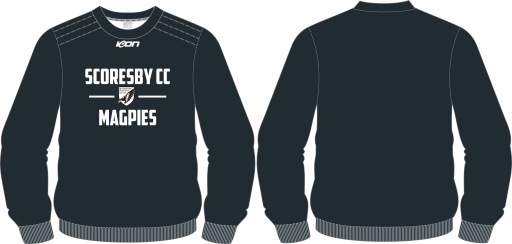 Sweat shirt.png