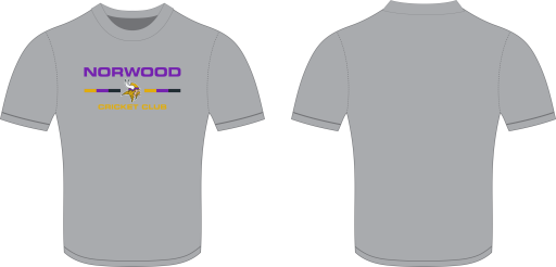 T shirt Grey.png