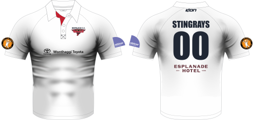 Cricket shirt 3.png