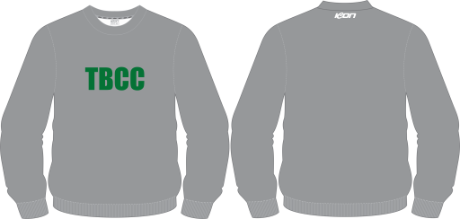 Grey Sweat shirt.png