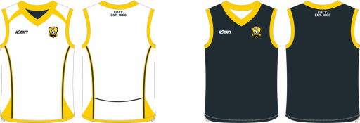 Rev Vest.png
