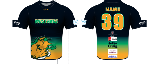 Screenshot 2026-02-17 112300.png