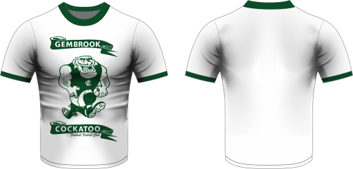Cotton T shirt White.png