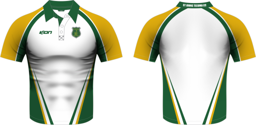 cricket shirt ss.......png