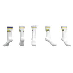 Seville CC socks.png