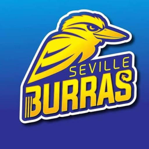 Seville Cricket Club