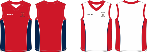 Reversible cricket vest.png