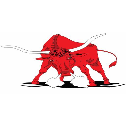 BURWOOD BULLS CRICKET CLUB