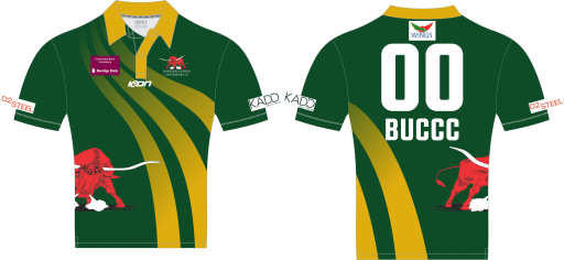Polo shirt 1.png