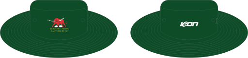 Hat 2.png