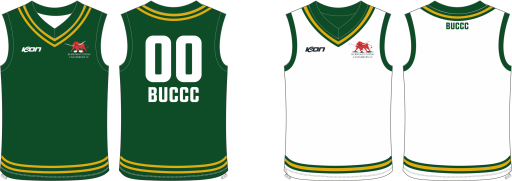 Rev cricket vest.png